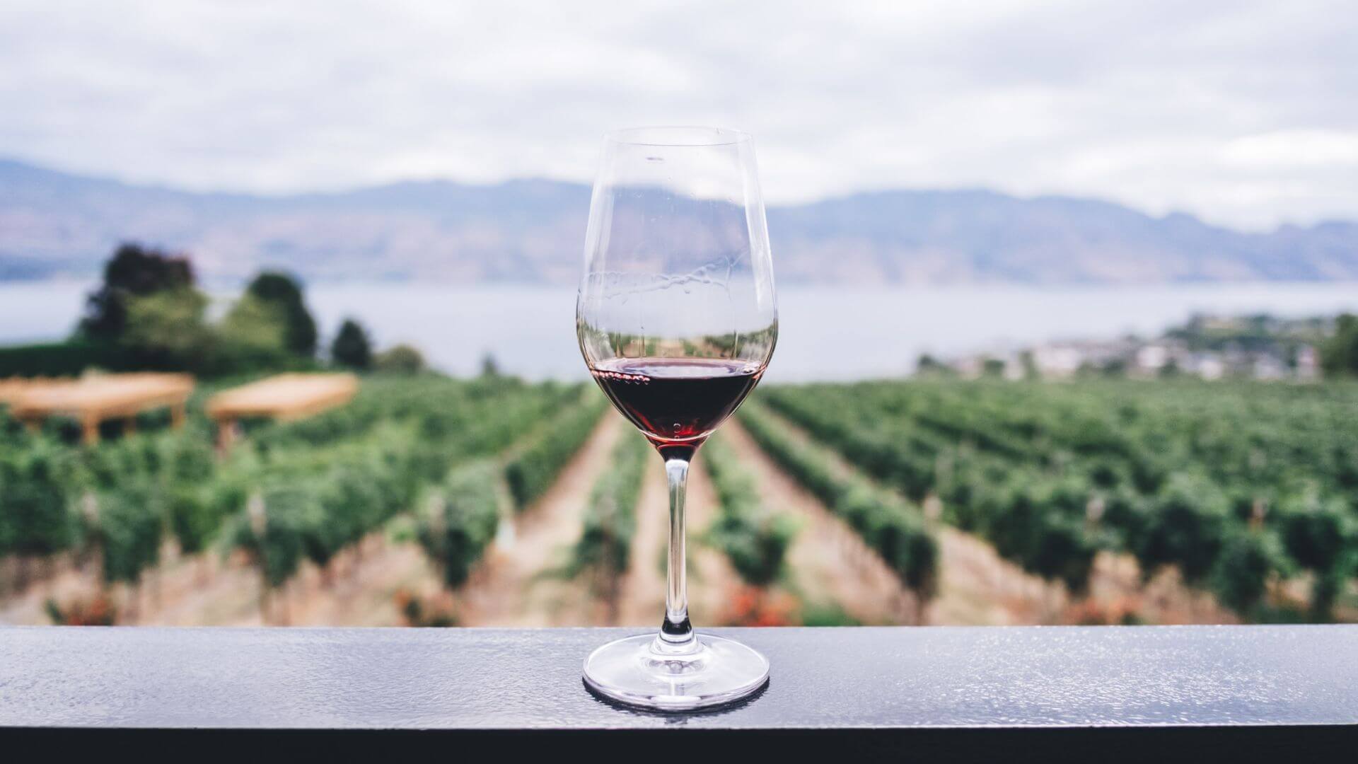 Douro Valley Wine Tour